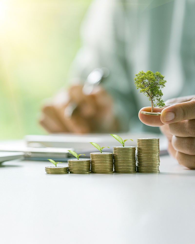 Wealth Management Solution